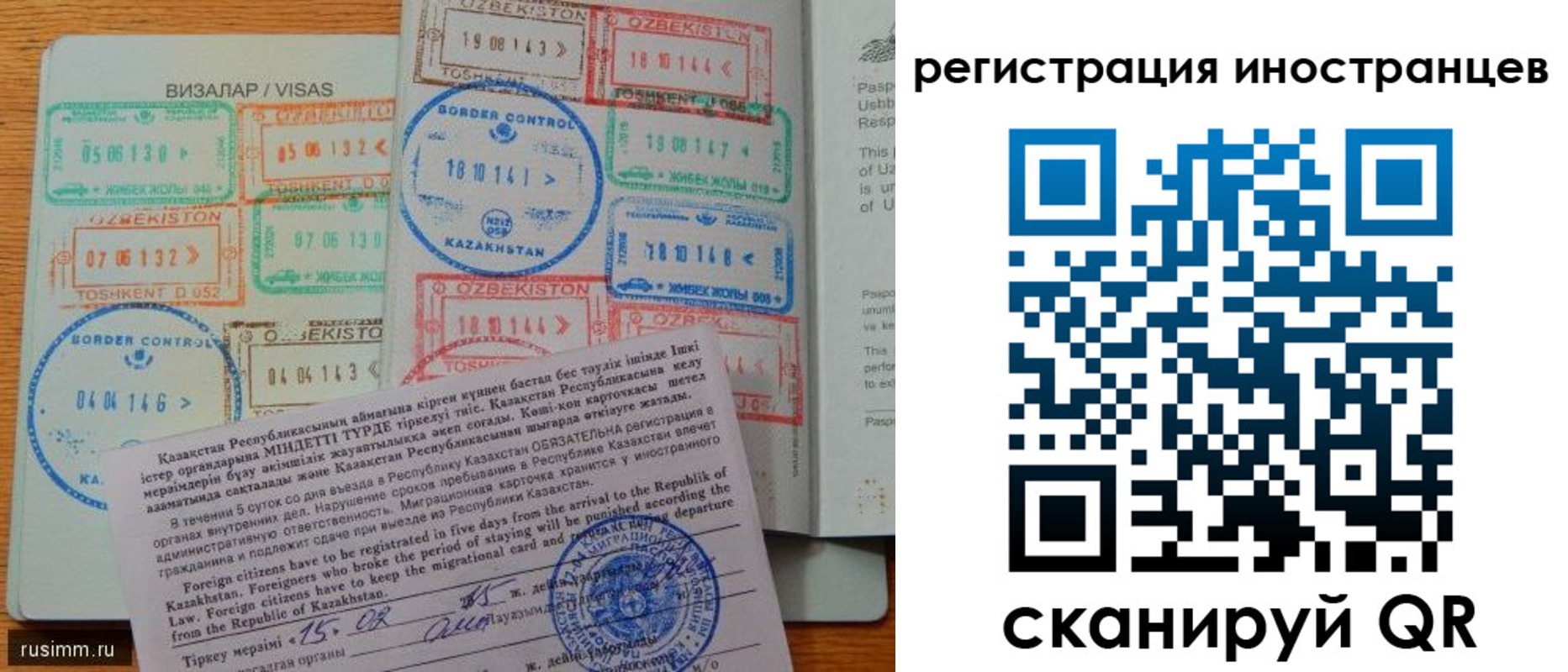 прописка гарантия в Ржеве